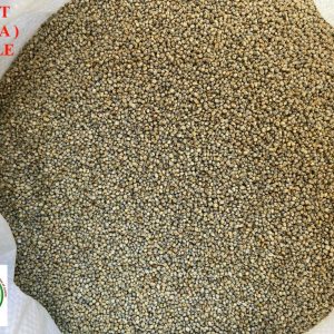 Flavours Millet Whole (Bajra)