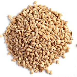 Flavours Barley