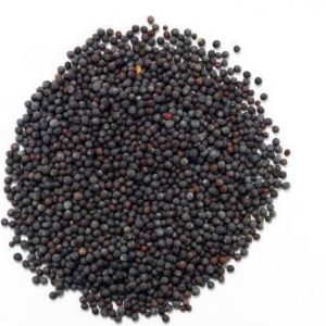 Flavours Mustard Black Seeds